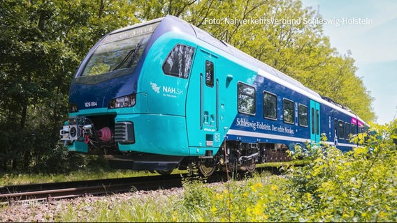 Eine Bahn steht auf einem Gleis. © Screenshot 