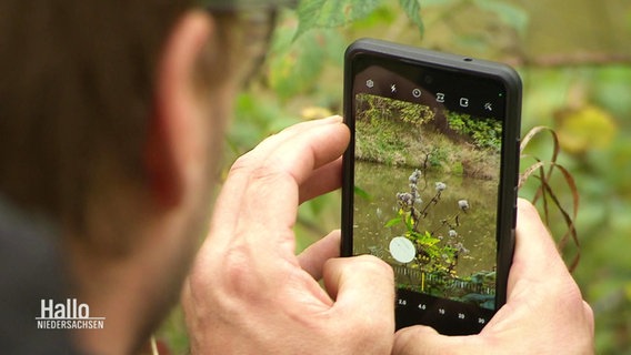 Eine Person fotografiert mit seinem Smartphone eine Pflanze. © Screenshot 