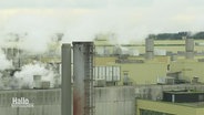 Die rauchende Schornseine und Dächer des Gaskraftwerks © Screenshot 