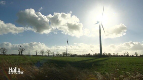 Windräder auf einem Acker © Screenshot 