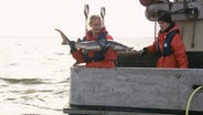 Ein Junger Stör wird in der Ostsee ausgesetzt © Screenshot 