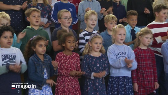 Schülerinnen der Grundschule in Karby bei einem Auftritt. © Screenshot 