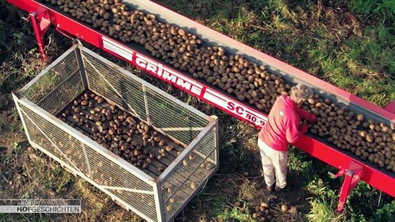 Eine Person steht an einem Fließband und sortiert Kartoffeln aus. © Screenshot 