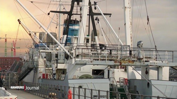 Die MS Stubnitz an ihrem Liegeplatz in der Hamburger HafenCity. © Screenshot 