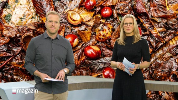 Henrik Hanses und Gabi Lüeße moderieren das Schleswig-Holstein Magazin. © Screenshot 