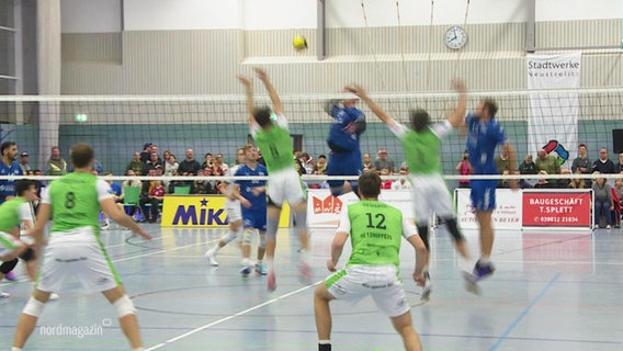 Ein Volleyballspiel. © Screenshot 