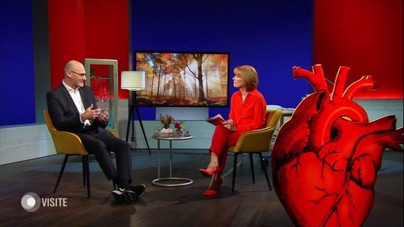 Prof. Bernd Löwe zu Gast im Visite-Studio. © Screenshot 
