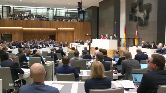 Viele Fraktionsmitglieder sitzen in einem Plenarsaal. © Screenshot 
