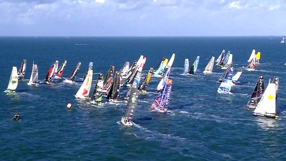 Viele Segelschiffe bei einer Regatta. © Screenshot 