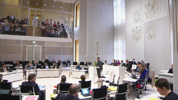 Schweriner Landtag © Screenshot 