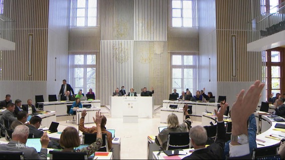 Mehrere Abgeordnete in einem Plenarsaal heben die Hand. © Screenshot 