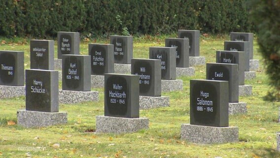 Grabsteine auf einem Friedhof. © Screenshot 