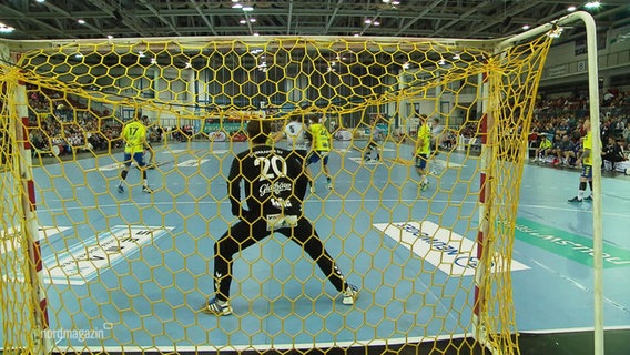 Ein Handballer steht im Tor. © Screenshot 