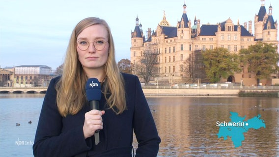 Anna-Lou Beckmann steht vor dem Schweriner Schloss. © Screenshot 