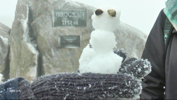 Ein handgroßer Mini-Schneemann auf dem Brocken. © Screenshot 