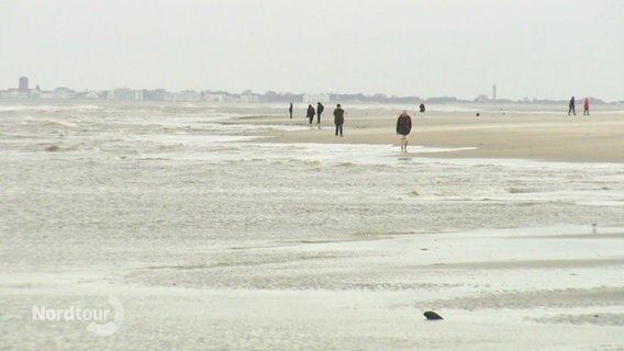 Menschen laufen am Strand entlang. © Screenshot 