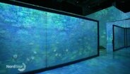 Monets Seerosenteich in verschiedenen Projektionen in der virtuellen Ausstellung "Monets Garten" dargestellt. © Screenshot 