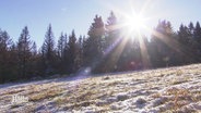 Sonnenstrahlen im leicht schneebedeckten Harz © Screenshot 
