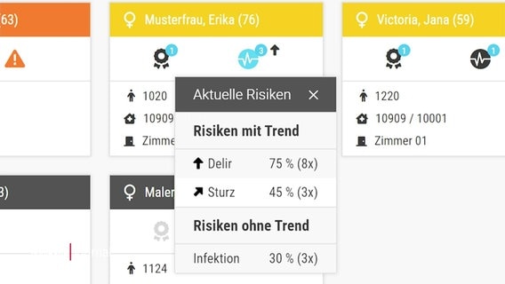 Digitalisierte Gesundheitsinformationen werden übersichtlich für ÄrztInnen aufbereitet. © Screenshot 