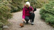 Eine Frau mit Fotoapparat füttert ein Eichhörnchen. © Screenshot 