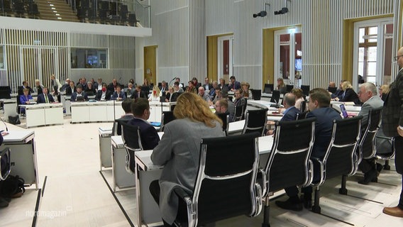 Abgeordnete sitzen im Landtag im Schweriner Schloss. © Screenshot 