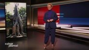 Die Moderatorin Julia Westlake. © Screenshot 