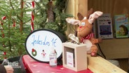 Nahaufnahme von einem Tresen mit Weihnachtsbaum. Darauf: Ein Schild, das Lose für einen Euro bewirbt und daneben ein Rudolf-Stofftier. © Screenshot 