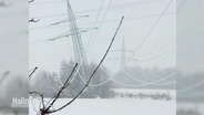 Archivaufnahme von 2005: Nach einem heftigen Schneetreiben, stehen Strommasten schief in der Landschaft. © Screenshot 