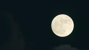 Ein großer runder Mond am Nachthimmel. © Screenshot 
