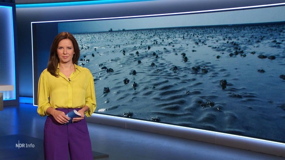 Romy Hiller moderiert NDR Info um 17 Uhr. © Screenshot 