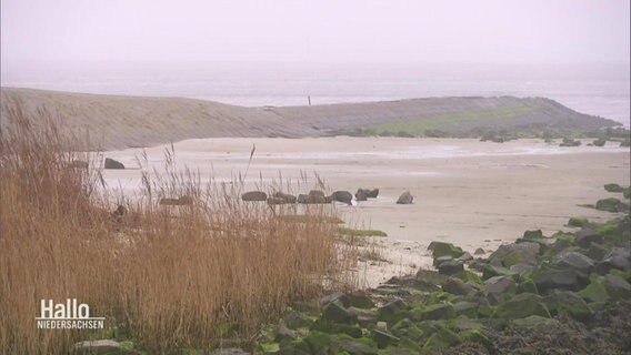 An dieser Stelle, kurz vor Borkum, soll das Gas gewonnen werden. © Screenshot 