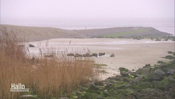 An dieser Stelle, kurz vor Borkum, soll das Gas gewonnen werden. © Screenshot 