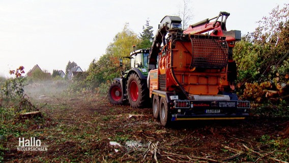 Ein Traktor beim Brennholzabbau. © Screenshot 