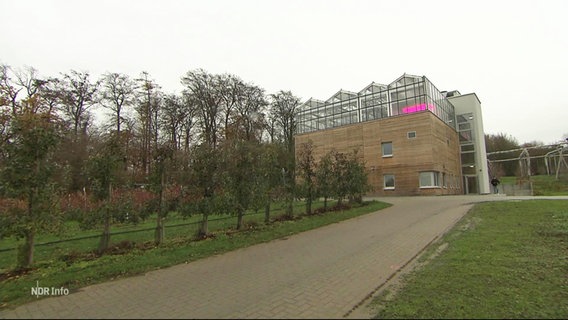 Das Gewächshaus mit Indoor-Farm an der Universität Osnabrück. © Screenshot 