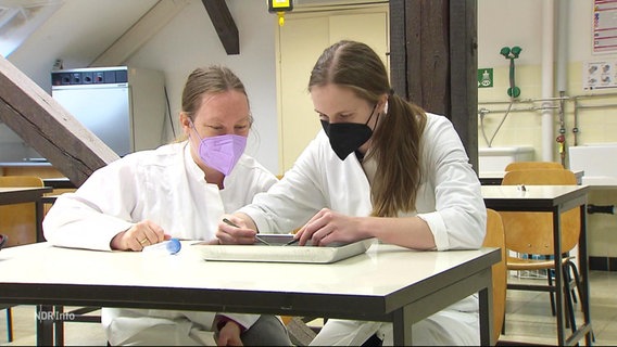 Zwei Frauen von der Tierärztlichen Hochschule in Hannover untersuchen ein Insekt. © Screenshot 