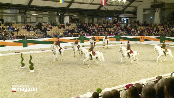 Mehrere Pferde und Reiter führen eine Choreographie auf. © Screenshot 