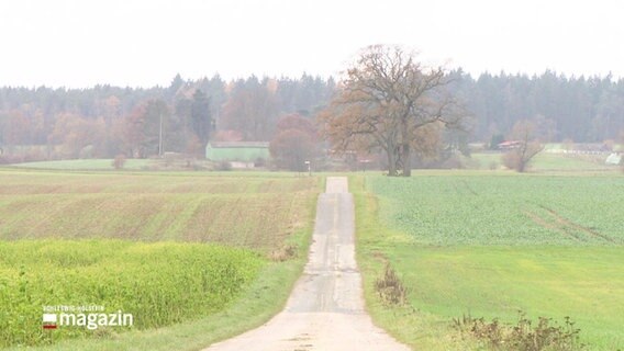 Blick eine Straße entlang, die von Feldern gesäumt ist und über eine hügelige Landschaft bis zum nächsten Gehöft führt. © Screenshot 