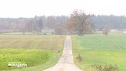 Blick eine Straße entlang, die von Feldern gesäumt ist und über eine hügelige Landschaft bis zum nächsten Gehöft führt. © Screenshot 
