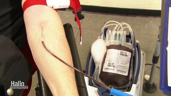 Eine Person spendet Blut © Screenshot 