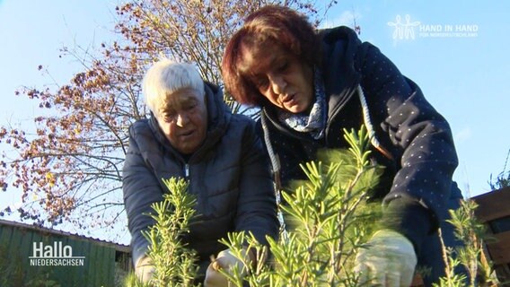 Zwei Ukrainerinnen bei der Gartenarbeit © Screenshot 