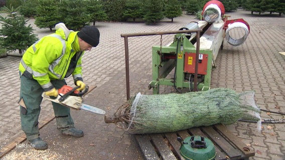 Ein Mann bearbetet einen Weihnachtsbaum mit einer Kettensäge. © Screenshot 