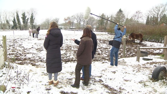Szene vor einer verschneiten Pferdekoppel: Eine Reporterin, zwei Anwohner sowie ein Tonmann mit Tonangel stehen vor der Koppel mit Pferden. © Screenshot 