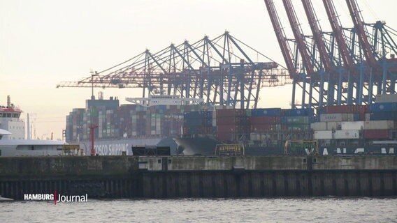 Ein Containerschiff steht vor mehereren Kränen im Hamburger Hafen. © Screenshot 