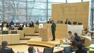 Abgeordnete debattieren im Kieler Landtag. © Screenshot 