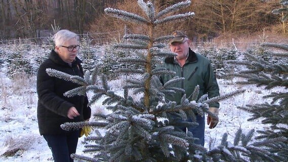Eine Frau und ein Mann begutachten eine verschneite Nordmanntanne bei einem Weihnachtsbaumverkauf. © Screenshot 