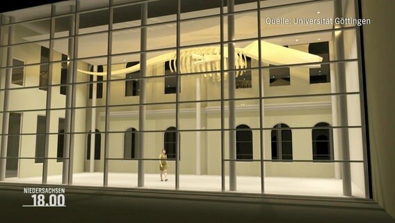 In einem illuminierten Innenhof mit einer großen Glasfront eines Gebäudes hängt das Skelett eines großen Pottwals an der Decke. © Screenshot 