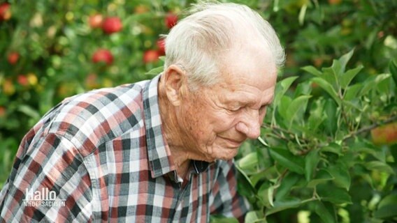 Ein älterer Herr läuft an den Ästen von mehreren Apfelbäumen vorbei. © Screenshot 