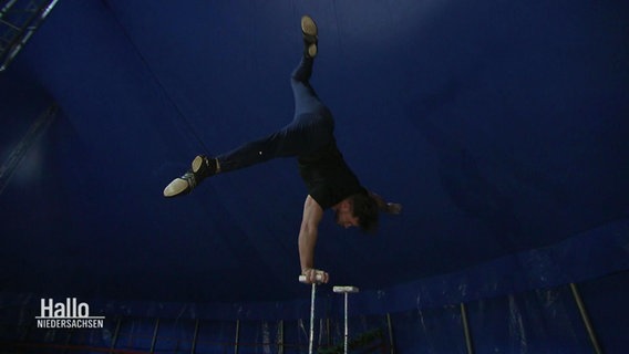 Ein Akrobat balanciert einhändig im Handstand auf zwei Stäben in einem Zirkuszelt. © Screenshot 