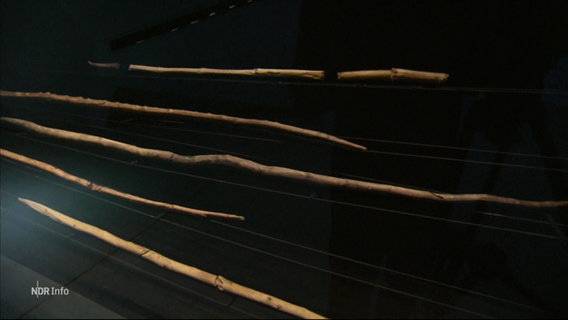 Die Speere aufgereiht im Museum © Screenshot 