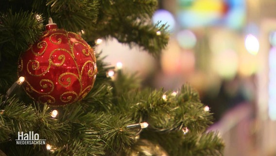 Eine rote Weihnachtsbaumkugel an einem Tannenzweig © Screenshot 